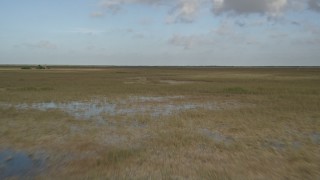 AX0030_005E - 5K aerial stock footage of flying low over marshland, Florida Everglades, Florida