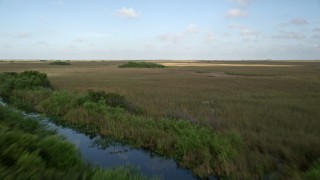 5K aerial stock footage video of flying low over marshland, reveal river and birds, Florida Everglades, Florida Aerial Stock Footage | AX0030_011