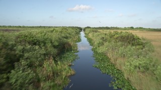 AX0030_012E - 5K aerial stock footage of flying low over marshland, reveal river and alligator in the water, Florida Everglades, Florida