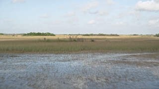 5K aerial stock footage of flying low over marshland, Florida Everglades, Florida Aerial Stock Footage | AX0030_028