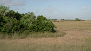 5K aerial stock footage of panning across marshland, Florida Everglades, Florida Aerial Stock Footage | AX0030_030