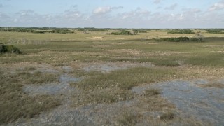 AX0030_039E - 5K aerial stock footage of descending over trees and marshland, Florida Everglades, Florida