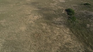 AX0030_054 - 5K aerial stock footage of a bird's eye view of marshland in the Florida Everglades, Florida