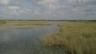 5K aerial stock footage of flying low over marshes, Florida Everglades, Florida Aerial Stock Footage | AX0030_069