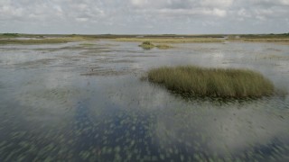 AX0030_070 - 5K aerial stock footage of flying low over wetlands, Florida Everglades, Florida