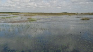 5K aerial stock footage of flying low over wetlands in the Florida Everglades, Florida Aerial Stock Footage | AX0030_071E