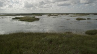 5K aerial stock footage of flying low over marshland, Florida Everglades, Florida Aerial Stock Footage | AX0030_077