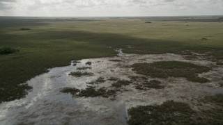 5K aerial stock footage of flying over marshland, Florida Everglades, Florida Aerial Stock Footage | AX0030_091E