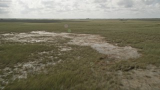 5K aerial stock footage of flying over marshland, Florida Everglades, Florida Aerial Stock Footage | AX0030_093