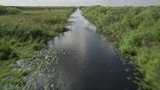 Florida Everglades Aerial Stock Footage
