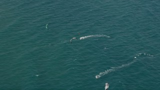 5K aerial stock footage of kite surfers by Delray Beach, Florida Aerial Stock Footage | AX0032_043