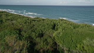 5K aerial stock footage of John D. MacArthur Beach State Park, reveal coast, Riviera Beach, Florida Aerial Stock Footage | AX0032_122