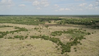 5K aerial stock footage of flying by groups of trees, Cocoa, Florida Aerial Stock Footage | AX0034_031