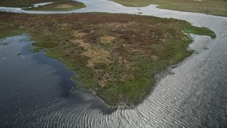 AX0034_044E - 5K aerial stock footage fly over rivers and marshland, reveal flocks of birds and speedboats, Cocoa, Florida