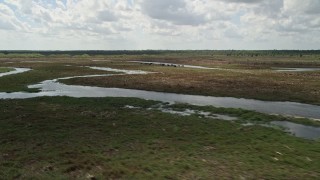 AX0034_047 - 5K aerial stock footage of flying over river and marshland revealing cows, Cocoa, Florida