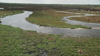 AX0034_049 - 5K aerial stock footage of descending toward alligators in a river, Cocoa, Florida