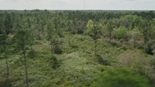 AX0034_057 - 5K aerial stock footage of flying by forest and clearings, Cocoa, Florida