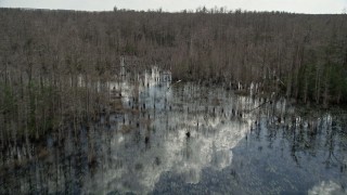 5K aerial stock footage of flying over swamp, Orlando, Florida Aerial Stock Footage | AX0035_050