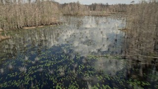 5K aerial stock footage fly over bare trees revealing swamps, Orlando, Florida Aerial Stock Footage | AX0035_066E