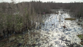 AX0035_072E - 5K aerial stock footage fly over swamp and bare trees, Orlando, Florida