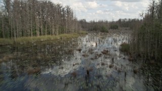 5K aerial stock footage fly low over swampland in Orlando, Florida Aerial Stock Footage | AX0035_074E