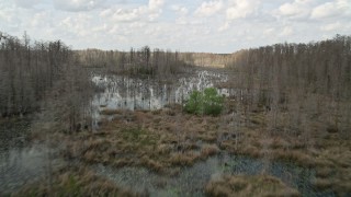 AX0035_078E - 5K aerial stock footage fly low over swamps and bare trees, Orlando, Florida