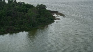 5K aerial stock footage of a tree-covered lake shore, Lake Apopka, Florida Aerial Stock Footage | AX0035_115