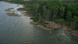 5K aerial stock footage of passing the tree-lined shore of Lake Apopka, Florida Aerial Stock Footage | AX0035_120