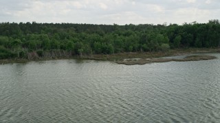 5K aerial stock footage of forest on the shore of Lake Apopka, Florida Aerial Stock Footage | AX0035_121