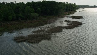 5K aerial stock footage of approaching tree-lined shore of Lake Apopka, Florida Aerial Stock Footage | AX0035_122