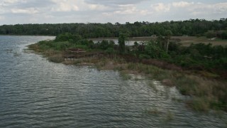 5K aerial stock footage of following birds flying over the lake shore, Lake Apopka, Florida Aerial Stock Footage | AX0035_127E