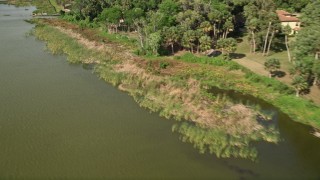 5K aerial stock footage of flying over the tree-lined lake shore, Lake Apopka, Florida Aerial Stock Footage | AX0035_131