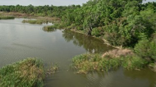 AX0035_132E - 5K aerial stock footage video of panning across the tree-lined lake shore, Lake Apopka, Florida