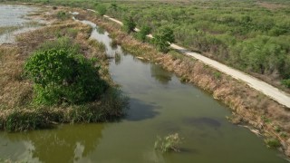 AX0035_134E - 5K aerial stock footage of following grassy and tree-lined shore of Lake Apopka, Florida