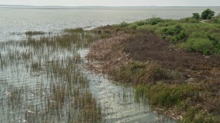 AX0035_136E - 5K aerial stock footage of flying over water near the grassy lake shore, Lake Apopka, Florida