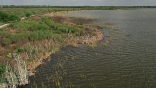 5K aerial stock footage of flying over water near the grassy lake shore, zoom in on bird, Lake Apopka, Florida Aerial Stock Footage | AX0035_138