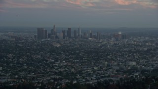 7.6K aerial stock footage flying over hilltop palm trees to reveal Downtown Los Angeles, California at twilight Aerial Stock Footage | AX0162_106