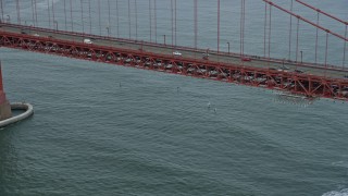 6K aerial stock footage of windsurfers near the iconic Golden Gate Bridge, San Francisco, California Aerial Stock Footage | AX0173_0058