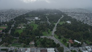 6K aerial stock footage of flying by Golden Gate Park under a fog bank, San Francisco, California Aerial Stock Footage | AX0173_0121