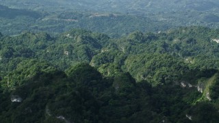 4.8K aerial stock footage of Lush green trees, Karst Forest, Puerto Rico Aerial Stock Footage | AX101_064