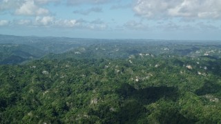 4.8K aerial stock footage Flying over the tops of lush green forests, Karst Forest, Puerto Rico Aerial Stock Footage | AX101_067E