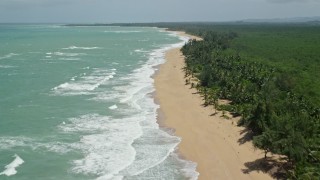 AX102_020E - 4.8K aerial stock footage of tree-lined beach along turquoise water, Loiza, Puerto Rico