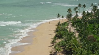 AX102_023E - 4.8K aerial stock footage of a couple on a palm tree lined beach and turquoise waters, Loiza, Puerto Rico