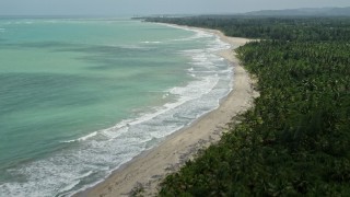 AX102_027E - 4.8K aerial stock footage of a beach bordered by jungle and turquoise waters, Loiza, Puerto Rico