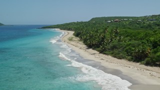 4.8K aerial stock footage of palm trees and Caribbean beach along turquoise waters, Culebra, Puerto Rico Aerial Stock Footage | AX102_130E