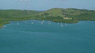 4.8K aerial stock footage of Sailboats in sapphire blue waters along a tree filled coast, Culebra, Puerto Rico Aerial Stock Footage | AX102_168