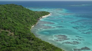 4.8K aerial stock footage of turquoise waters and reefs along a tree filled coast, Culebrita, Puerto Rico Aerial Stock Footage | AX102_185