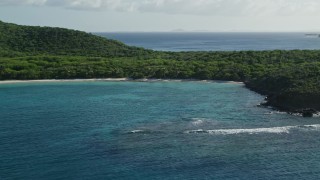 4.8K aerial stock footage of Caribbean beach and jungle beside turquoise waters, Culebrita, Puerto Rico Aerial Stock Footage | AX103_091E