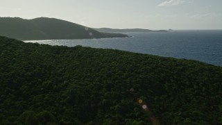 4.8K aerial stock footage Flying over jungle on an island and Caribbean blue waters, Culebra, Puerto Rico Aerial Stock Footage | AX103_097