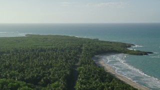 AX103_137 - 4.8K aerial stock footage of Jungle along Caribbean blue waters, Loiza, Puerto Rico